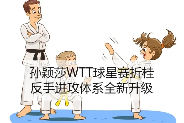 sun-ying-sha-qiu-xing-sai-zhe-gui-fan-shou-jin-gong-ti-xi-quan-xin-sheng-ji-2-935.jpg