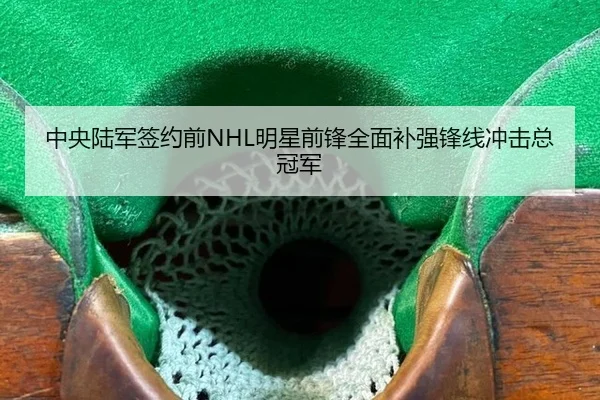 中央陆军签约前NHL明星前锋全面补强锋线冲击总冠军
